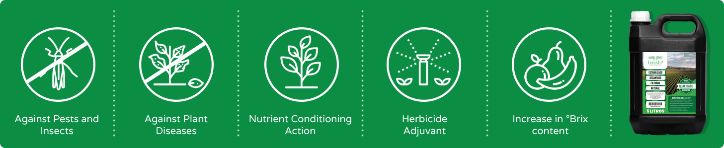 Pyrolean Extract Functions